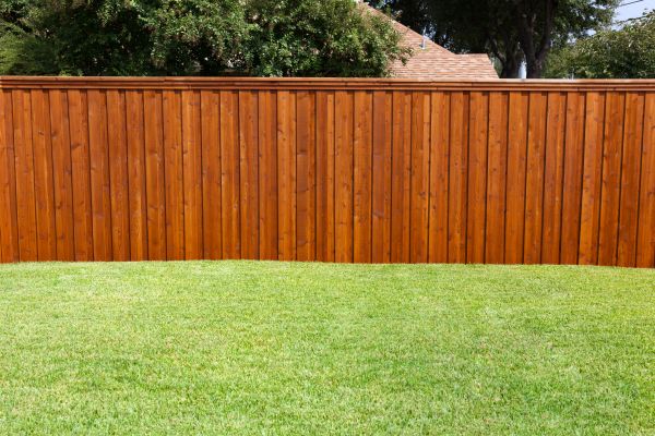 Backyard Fence Assembly